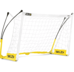 שער כדורגל מקצועי