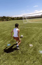 מטרות אימון לשער כדורגל