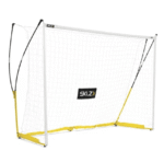 שער כדורגל מקצועי