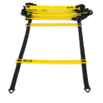 סולם זריזות