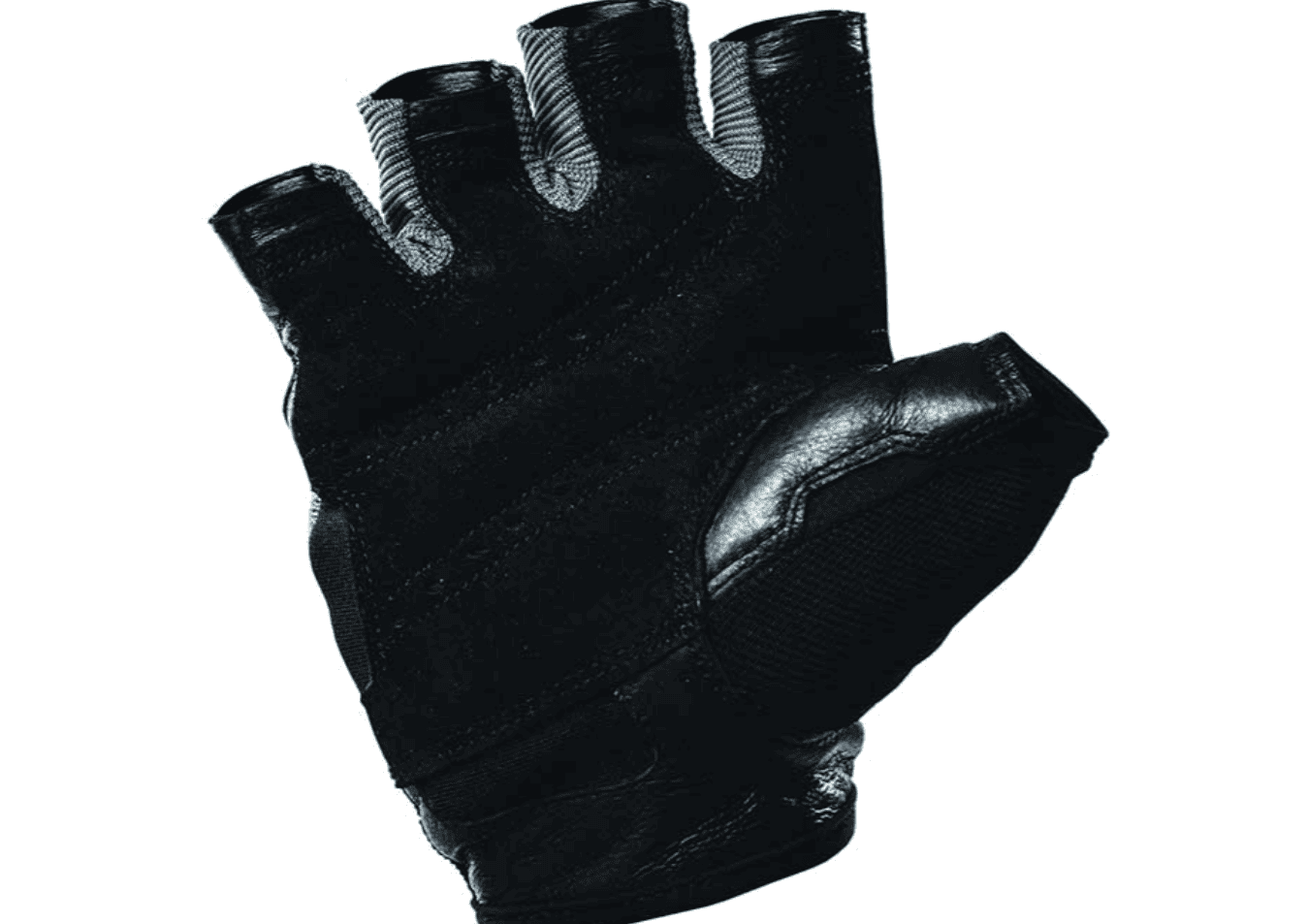 Screenshot 2025-05-14 001626 כפפות מקצועיות לחדר כושר