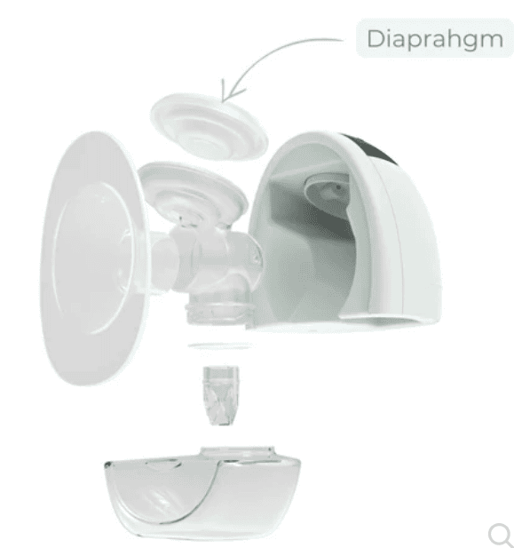 דיאפרגמות התאמה