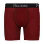 Hanes 2pk briefs