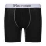 Hanes 2pk briefs